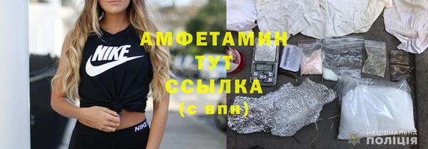 ГАЛЛЮЦИНОГЕННЫЕ ГРИБЫ Осинники