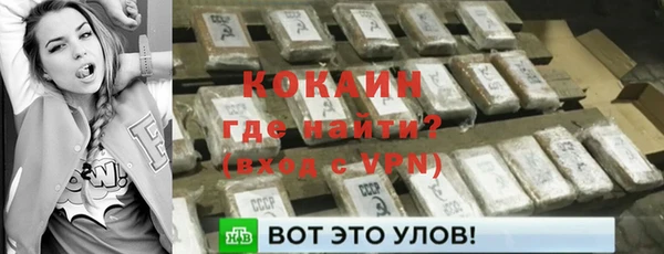 ГАЛЛЮЦИНОГЕННЫЕ ГРИБЫ Осинники