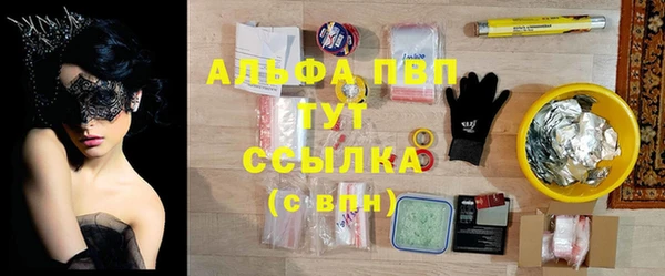 ГАЛЛЮЦИНОГЕННЫЕ ГРИБЫ Осинники